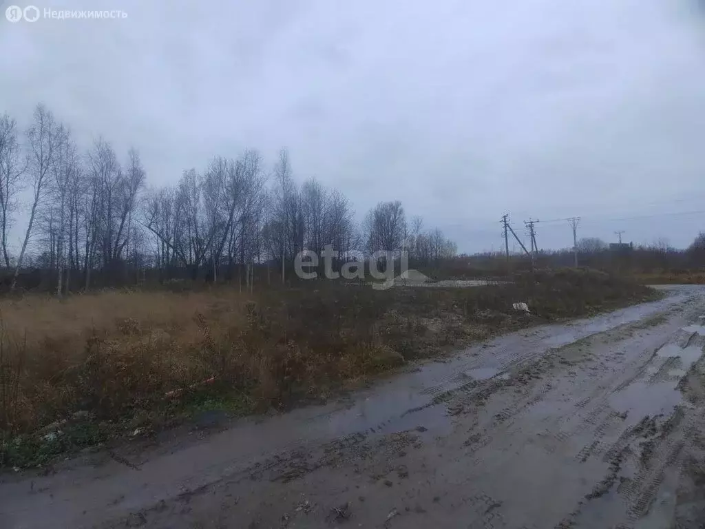 Участок в Калининградская область, Гурьевский муниципальный округ, ... - Фото 1