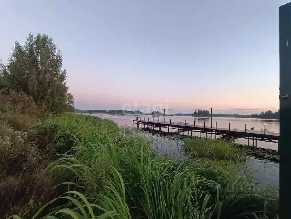 Участок в Костромская область, Красносельский район, Боровиковское ... - Фото 0