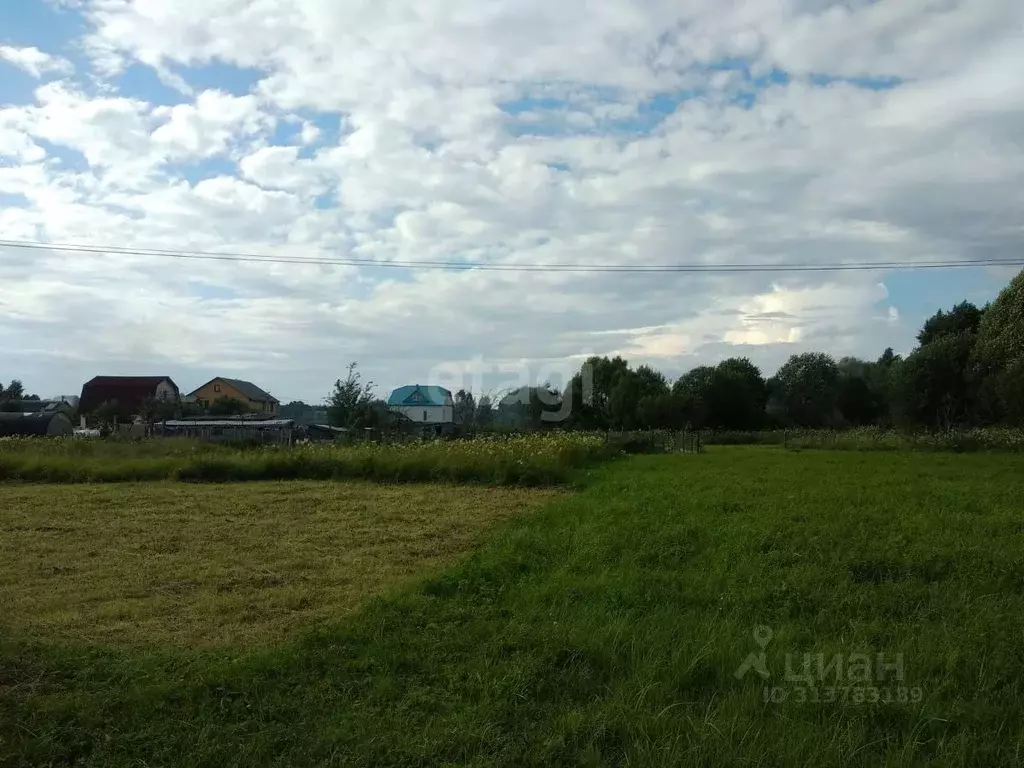 Участок в Калужская область, Ферзиковский район, Грабцево с/пос, ... - Фото 1