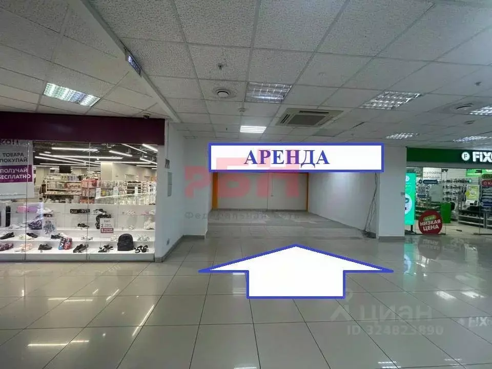 Помещение свободного назначения в Пензенская область, Пенза ул. ... - Фото 2