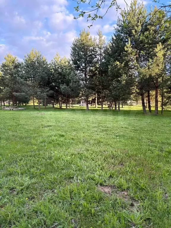 Участок 2 га (СНТ, ДНП) - Фото 0