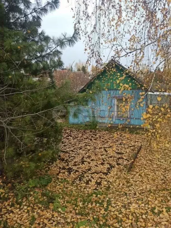 Дом в Красноярский край, Красноярск Строитель-22 СНТ, 311 (26 м) - Фото 1