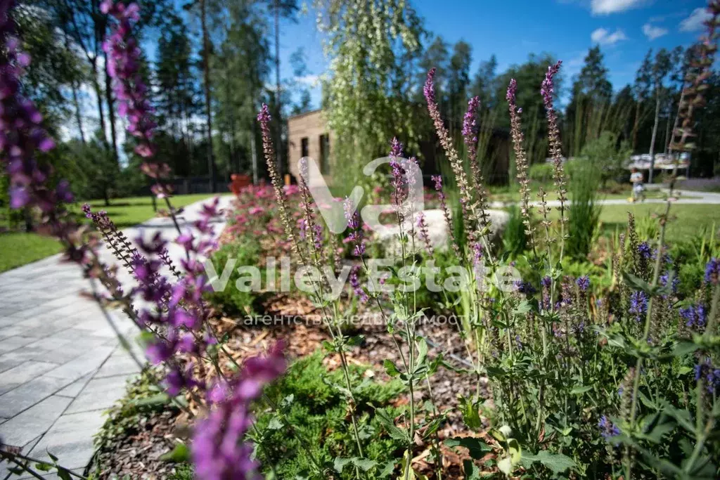 Участок в Ленинградская область, Выборгский район, Первомайское с/пос, ... - Фото 2