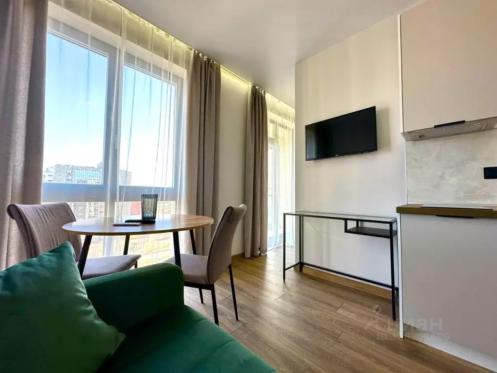 Студия Санкт-Петербург просп. Энгельса, 31 (27.1 м) - Фото 1