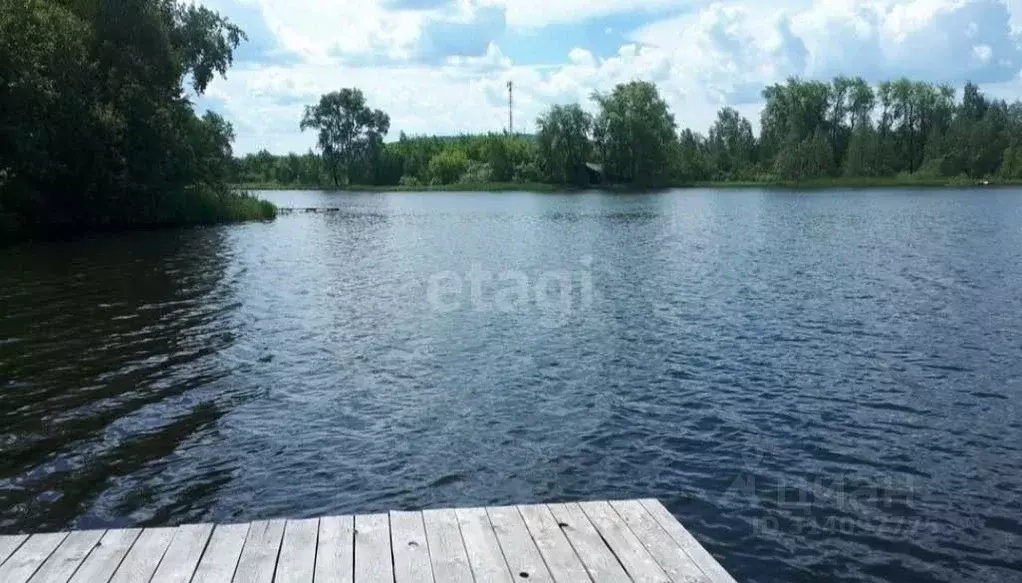 Участок в Свердловская область, Верх-Нейвинский пгт ул. Ленина, 166к1 ... - Фото 1