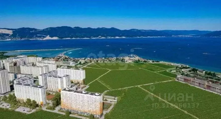 1-к кв. Краснодарский край, Новороссийск ул. Мурата Ахеджака, 17 (37.7 ... - Фото 1
