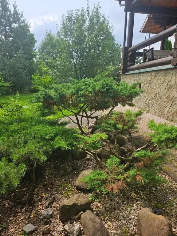 Дом в Калужская область, Жуковский муниципальный округ, Корсаково ... - Фото 2