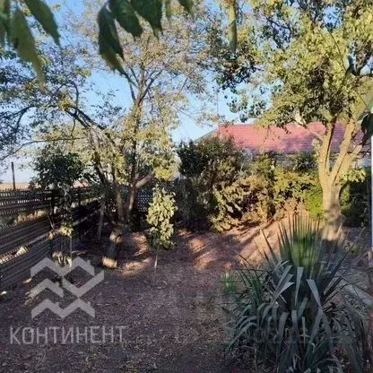 Дом в Крым, Сакский район, Штормовское с/пос, с. Хуторок ул. Степная, ... - Фото 2