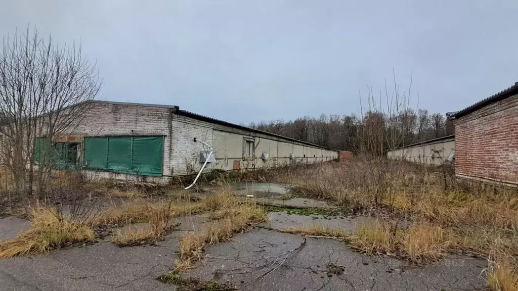 Помещение свободного назначения в Московская область, Сергиев Посад ... - Фото 1