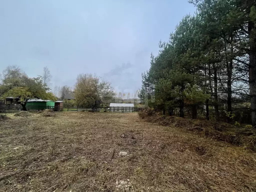 Участок в Костромская область, Костромской район, Самсоновское с/пос, ... - Фото 2