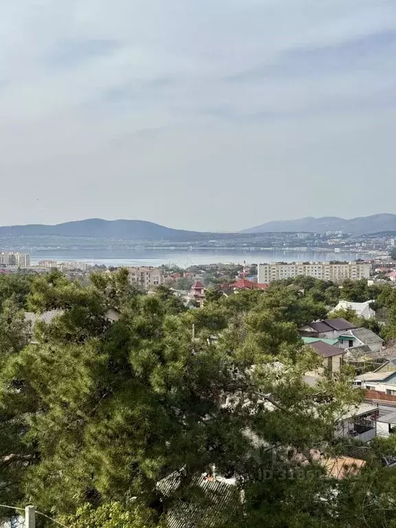1-к кв. Краснодарский край, Геленджик ул. Орджоникидзе, 8 (56.5 м) - Фото 1