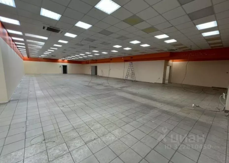 Помещение свободного назначения в Ленинградская область, Всеволожск ... - Фото 1