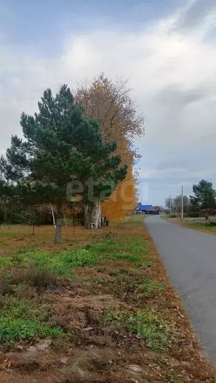 Дом в Мордовия, Саранск городской округ, д. Ивановка ул. Октябрьская, ... - Фото 2