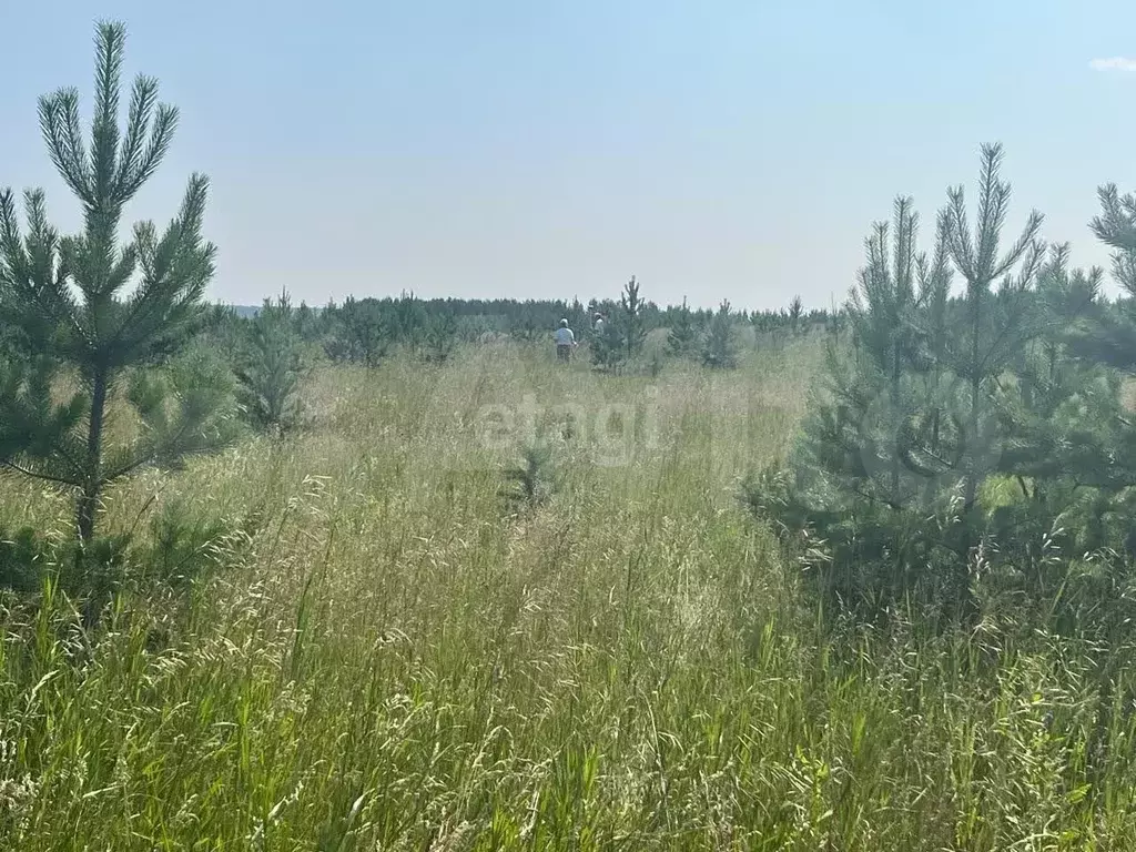 Участок 11,6 сот. (СНТ, ДНП) - Фото 0