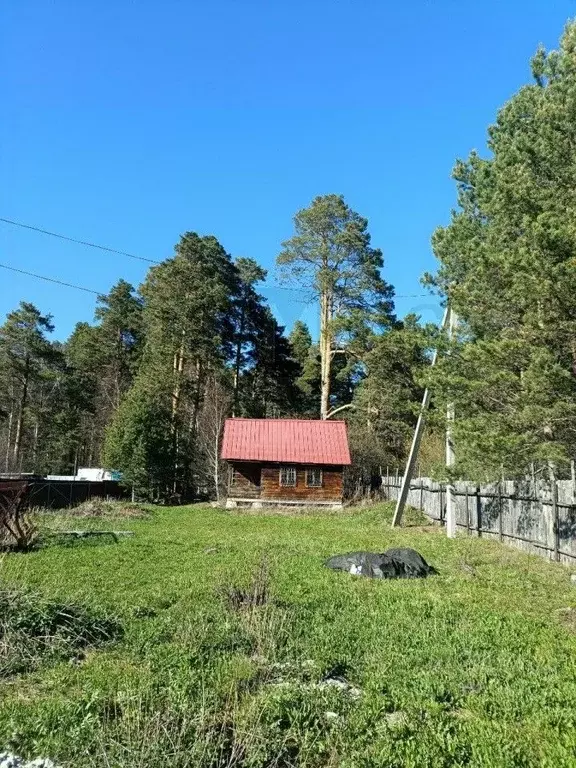 Участок в Свердловская область, Екатеринбург Жулановское СНТ, 95 ... - Фото 1