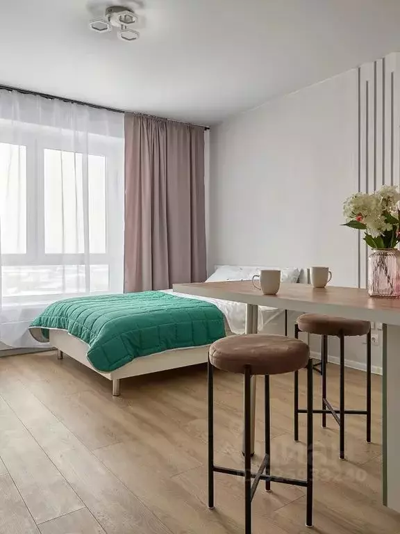 Студия Московская область, Одинцово ул. Каштановая, 16 (25.0 м) - Фото 2