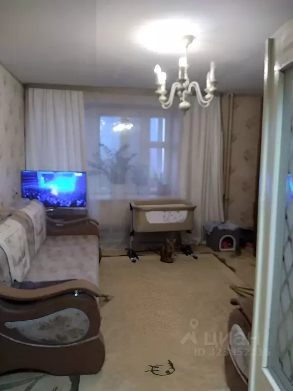 2-к кв. Нижегородская область, Кстово просп. Капитана Рачкова, 1 (49.6 ... - Фото 1