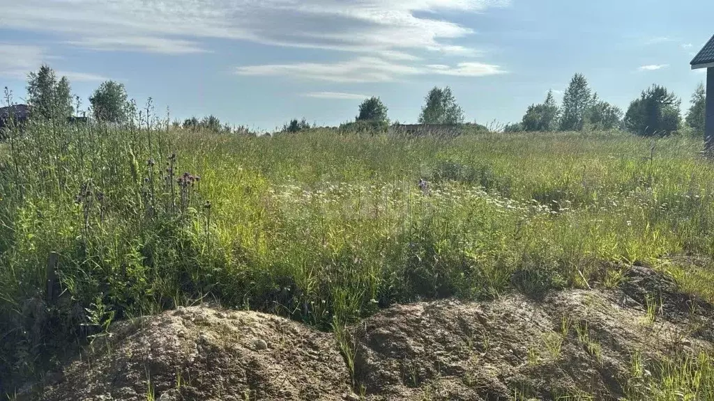 Участок в Ленинградская область, Всеволожский район, Лесколовское ... - Фото 1