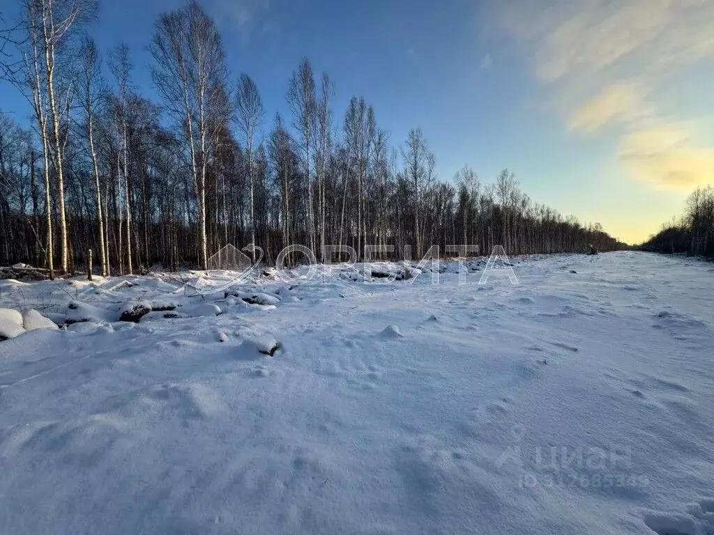 Участок в Тюменская область, Нижнетавдинский район, с. Черноярка  ... - Фото 1