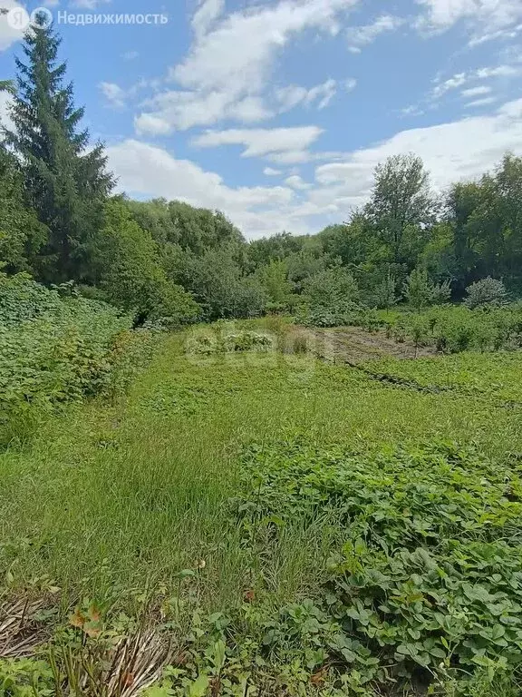 Дом в Ульяновск, улица Старосвияжский Пригород (80 м) - Фото 1