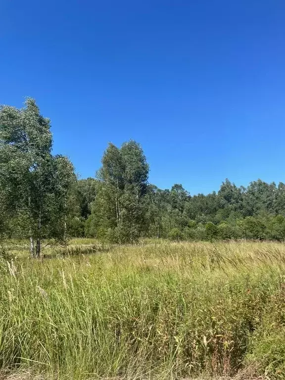 Участок в Москва Вороновское поселение, Вороновское СНТ,  (16.52 сот.) - Фото 1