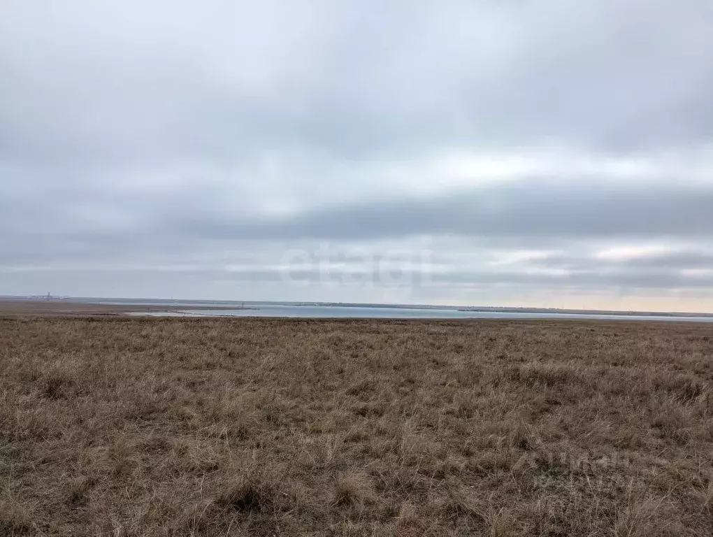 Участок в Крым, Черноморский район, с. Окуневка  (100.0 сот.) - Фото 2