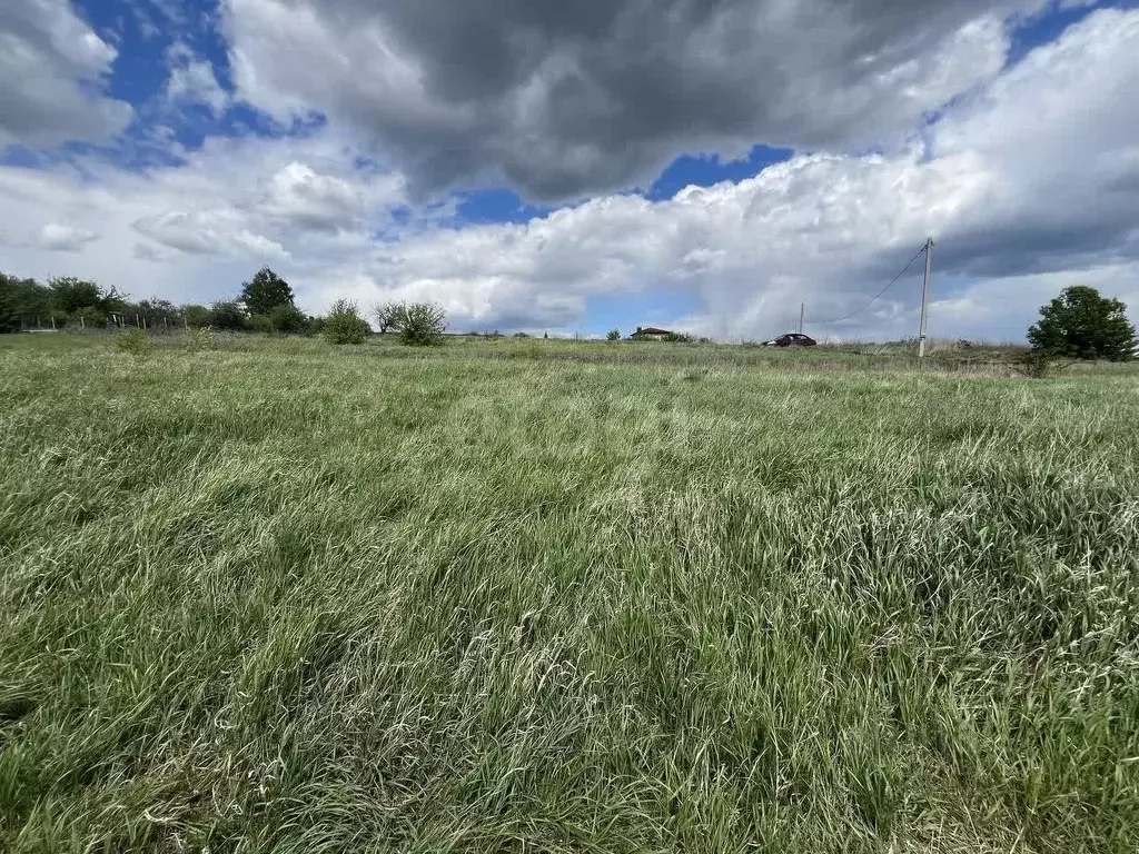 Участок в Воронежская область, Рамонский район, с. Русская Гвоздевка ... - Фото 1