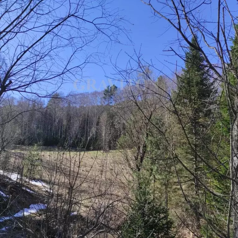 Участок в Алтай, Турочакский район, с. Артыбаш ул. Змеиная (20.9 сот.) - Фото 1