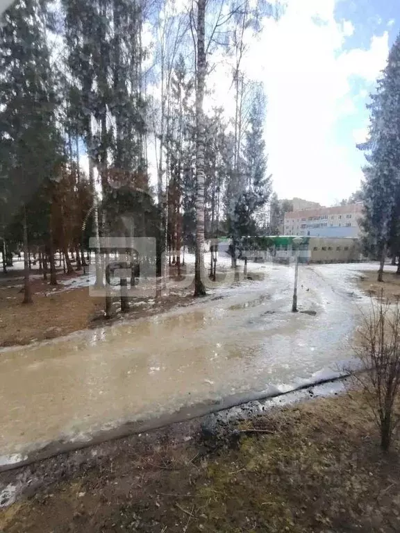 2-к кв. Костромская область, Буйский район, Чистые Боры городское ... - Фото 1