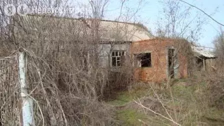 Участок в Копанская, улица Ленина, 22 (22 м) - Фото 0