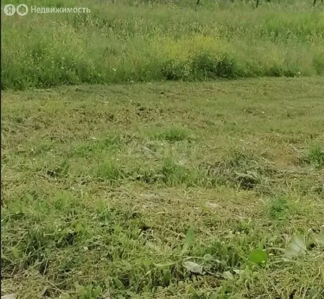 Участок в деревня Береговая, Заречная улица (11 м) - Фото 2