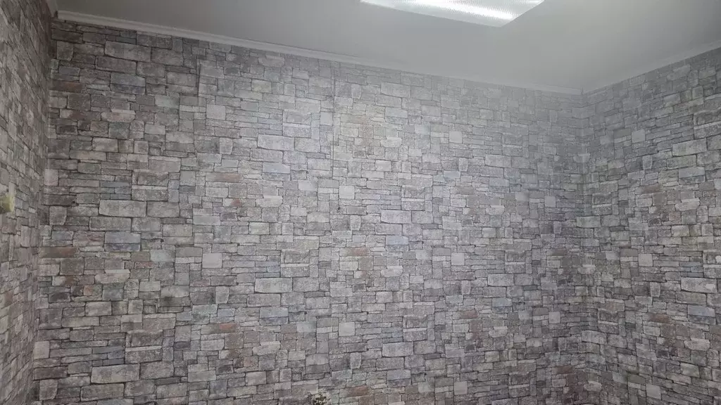 Помещение свободного назначения в Омская область, Павлоградка рп ул. ... - Фото 0