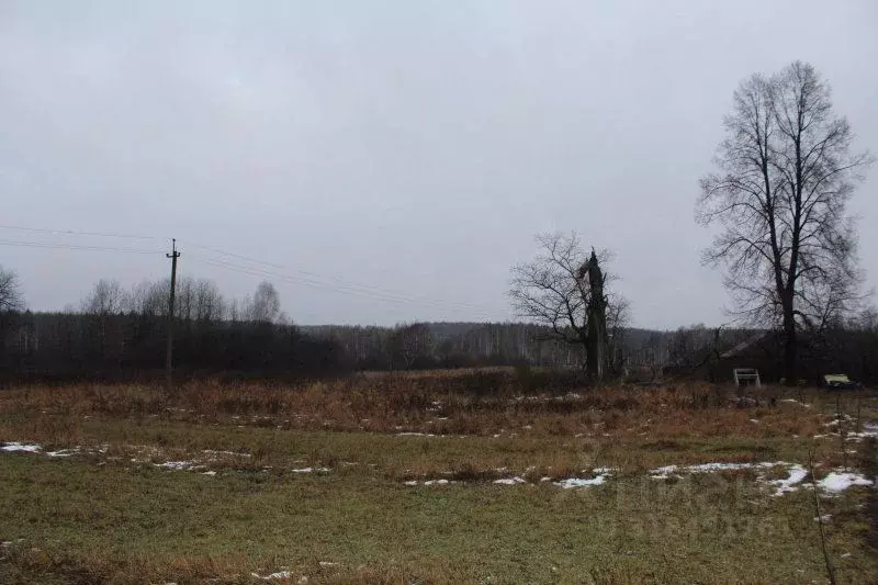 Участок в Ивановская область, Тейковский район, Нерльское городское ... - Фото 0