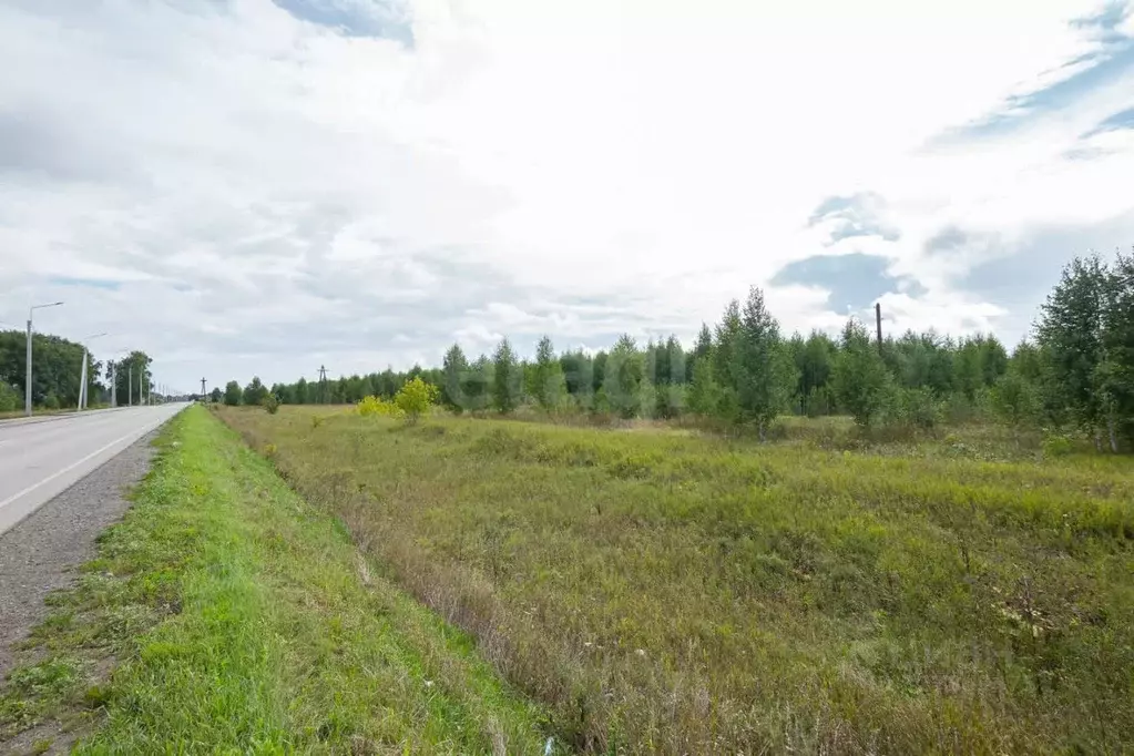Участок в Новосибирская область, Коченево рп ул. Трактовая (10.0 сот.) - Фото 1