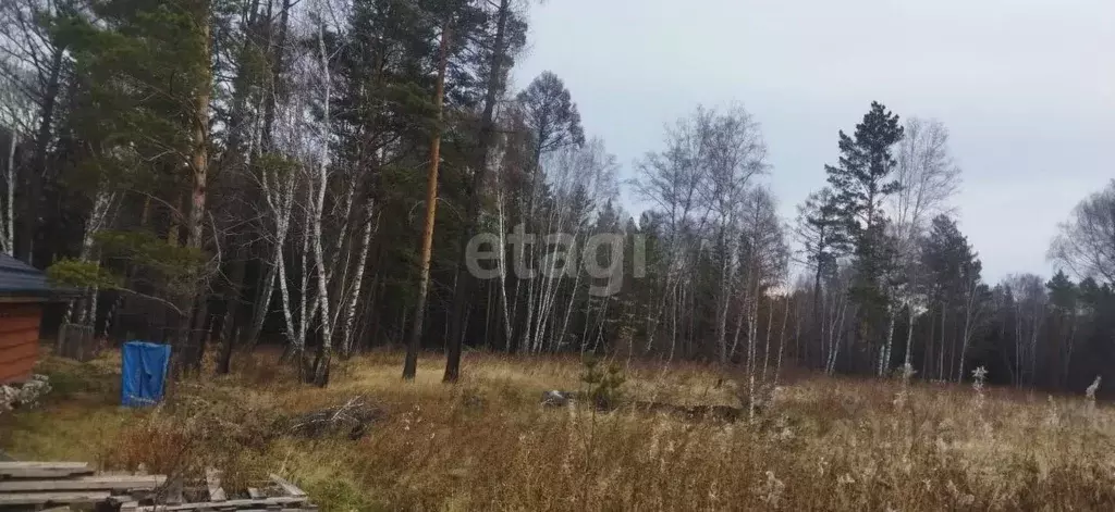 Участок в Красноярский край, Емельяновский район, Еловский сельсовет, ... - Фото 0