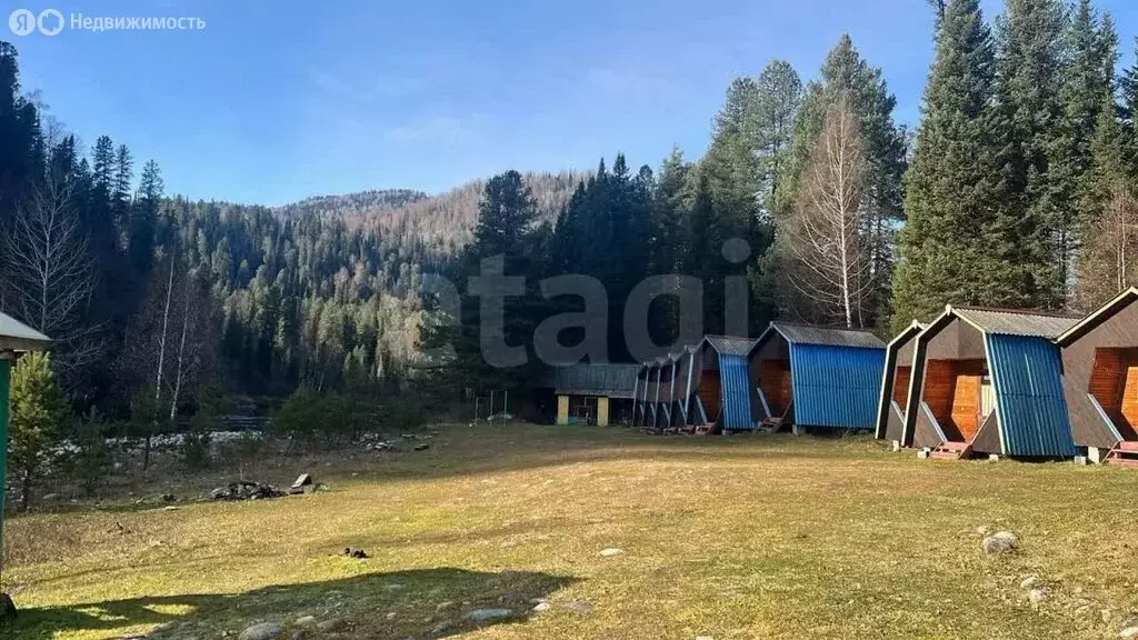 Участок в Турочакский район, село Артыбаш (84.34 м) - Фото 2