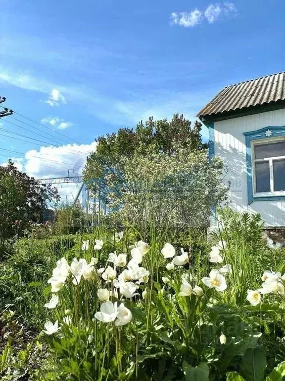 Дом в Саратовская область, Красноармейский район, Луганское ... - Фото 2