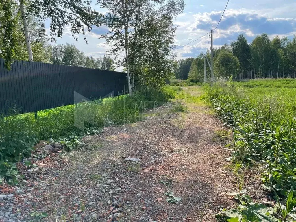 Участок в Тюменская область, Нижнетавдинский район, Строитель ТСН 786 ... - Фото 0