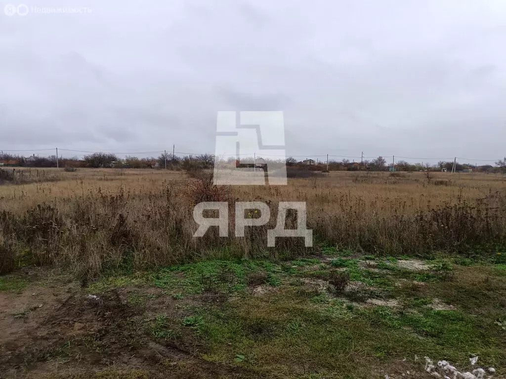 Участок в Синявское сельское поселение, хутор Мержаново, Новая улица ... - Фото 1