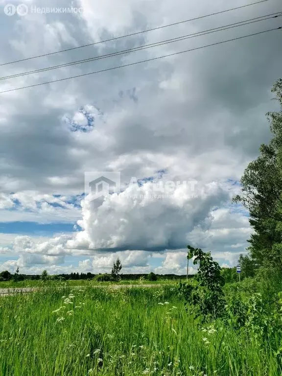Дом в Ивановский муниципальный округ, деревня Пережогино (58.2 м) - Фото 2