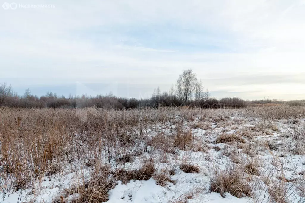 Участок в Тюмень (7.3 м) - Фото 1