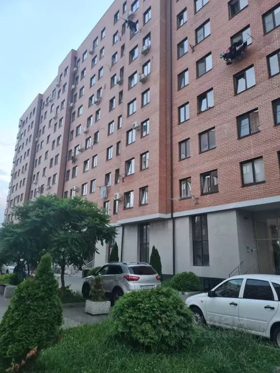 Студия Северная Осетия, Владикавказ ул. Братьев Темировых (33.0 м) - Фото 1