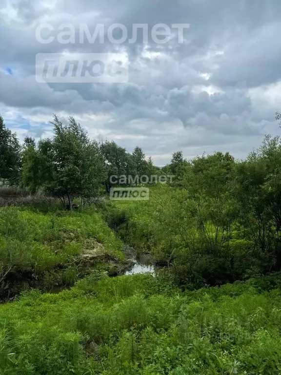 Участок в Приморский край, Артем ул. Лескова, 35 (10.0 сот.) - Фото 1