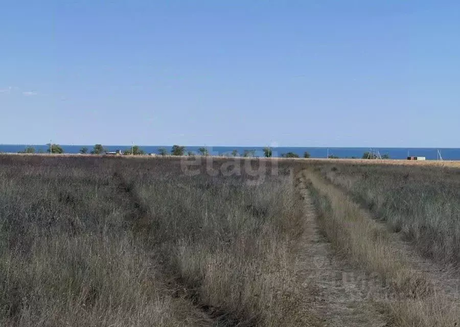 Участок в Крым, Черноморский район, с. Окуневка ул. Крымской Весны ... - Фото 1