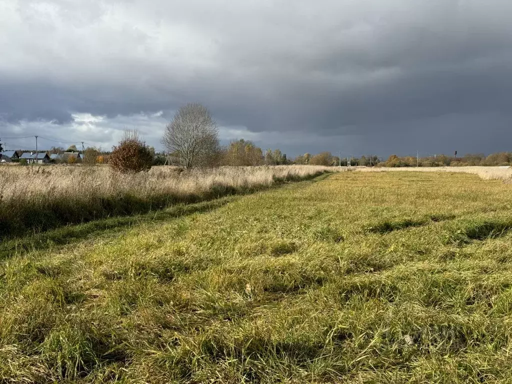 Участок в Ленинградская область, Гатчинский муниципальный округ, с. ... - Фото 2