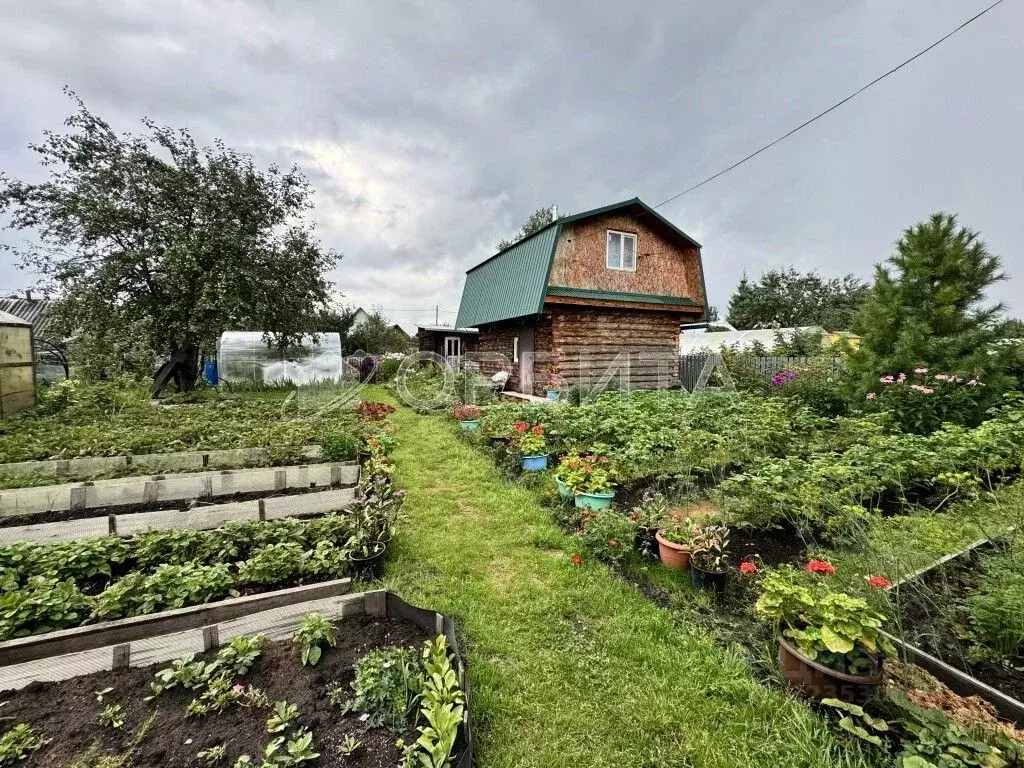 Дом в Тюменская область, Тюмень Ручеек СНТ, ул. Институтская, 21 (38 ... - Фото 1