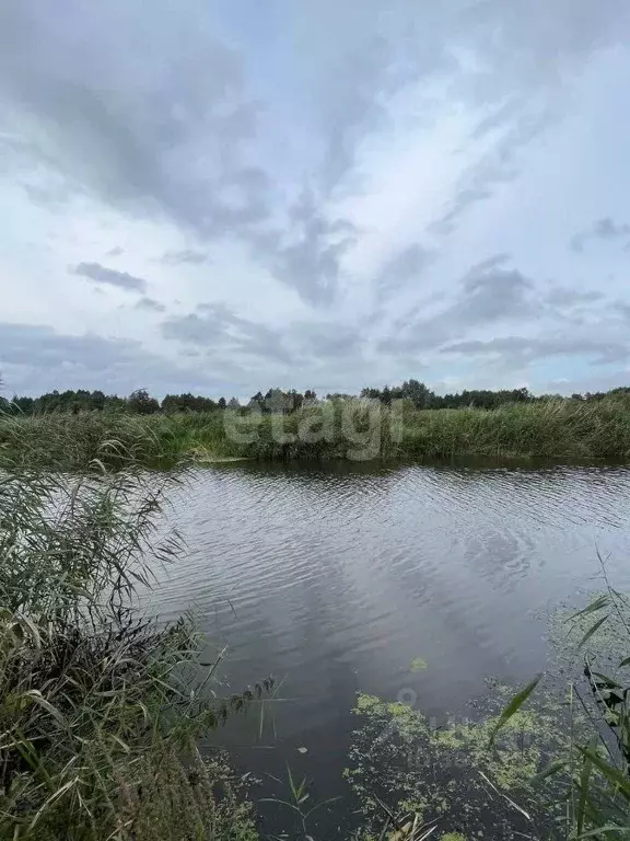 Дом в Калининградская область, Полесский муниципальный округ, пос. ... - Фото 1