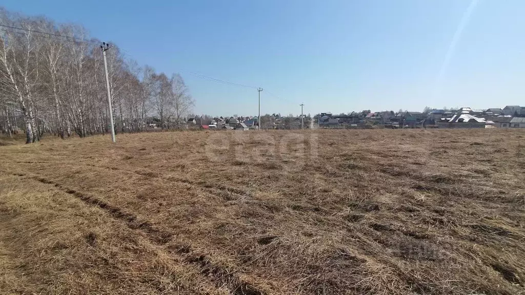 Участок в Кемеровская область, Кемеровский муниципальный округ, пос. ... - Фото 1