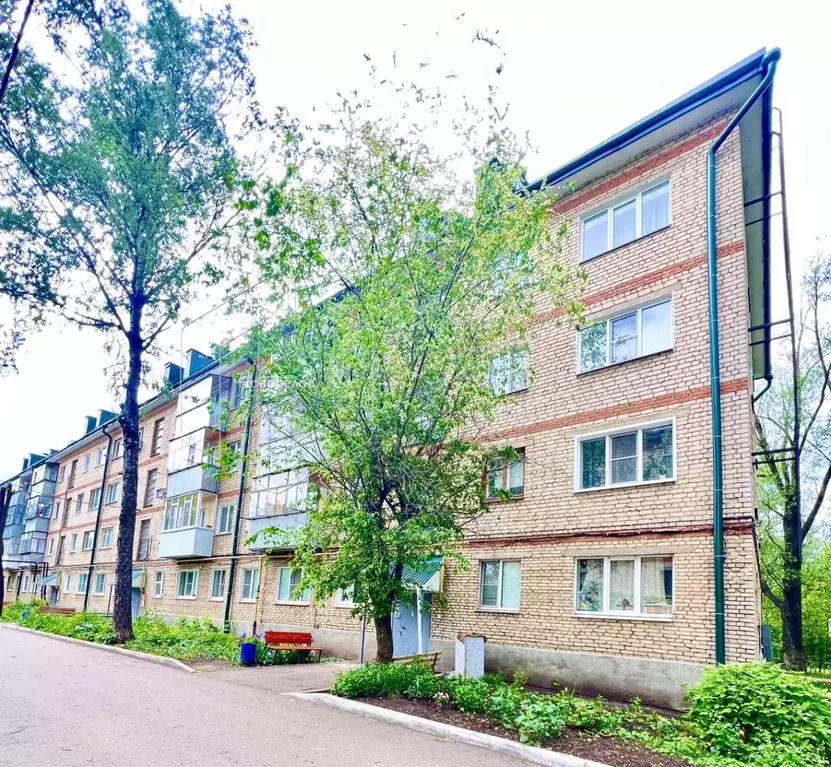 1-к кв. Мордовия, Рузаевка ул. Петрова, 30 (30.1 м) - Фото 0
