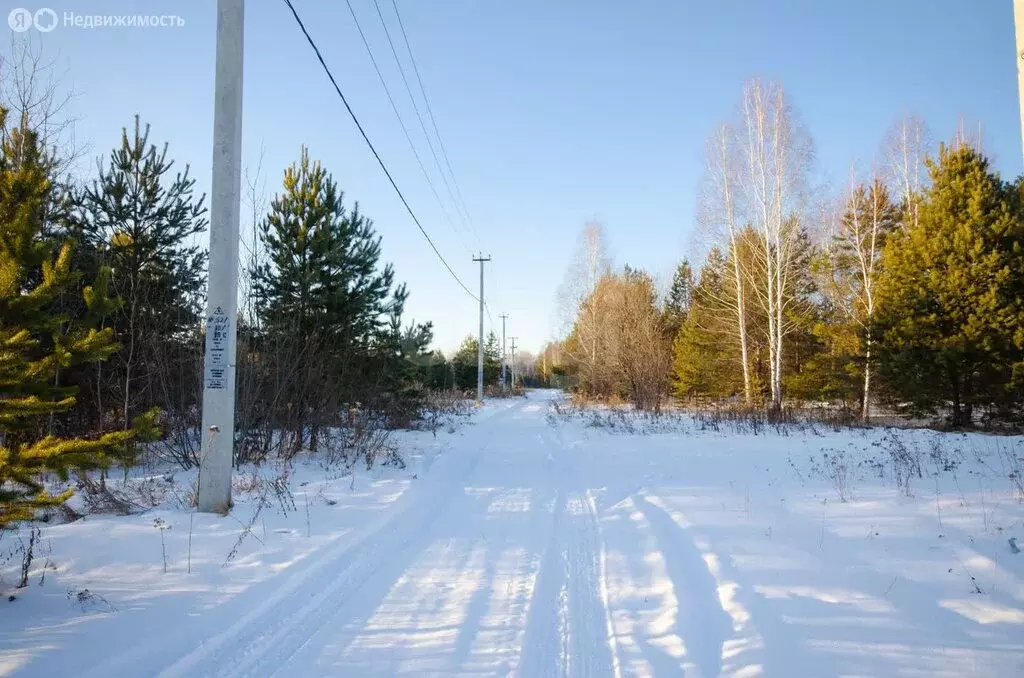 Участок в Заводоуковск, СНТ Колос (14.6 м) - Фото 1